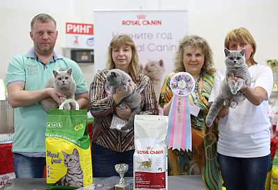 �������� ����� 11-12 ������ 2015, ������������ ���  bri-169A5094 copy.jpg